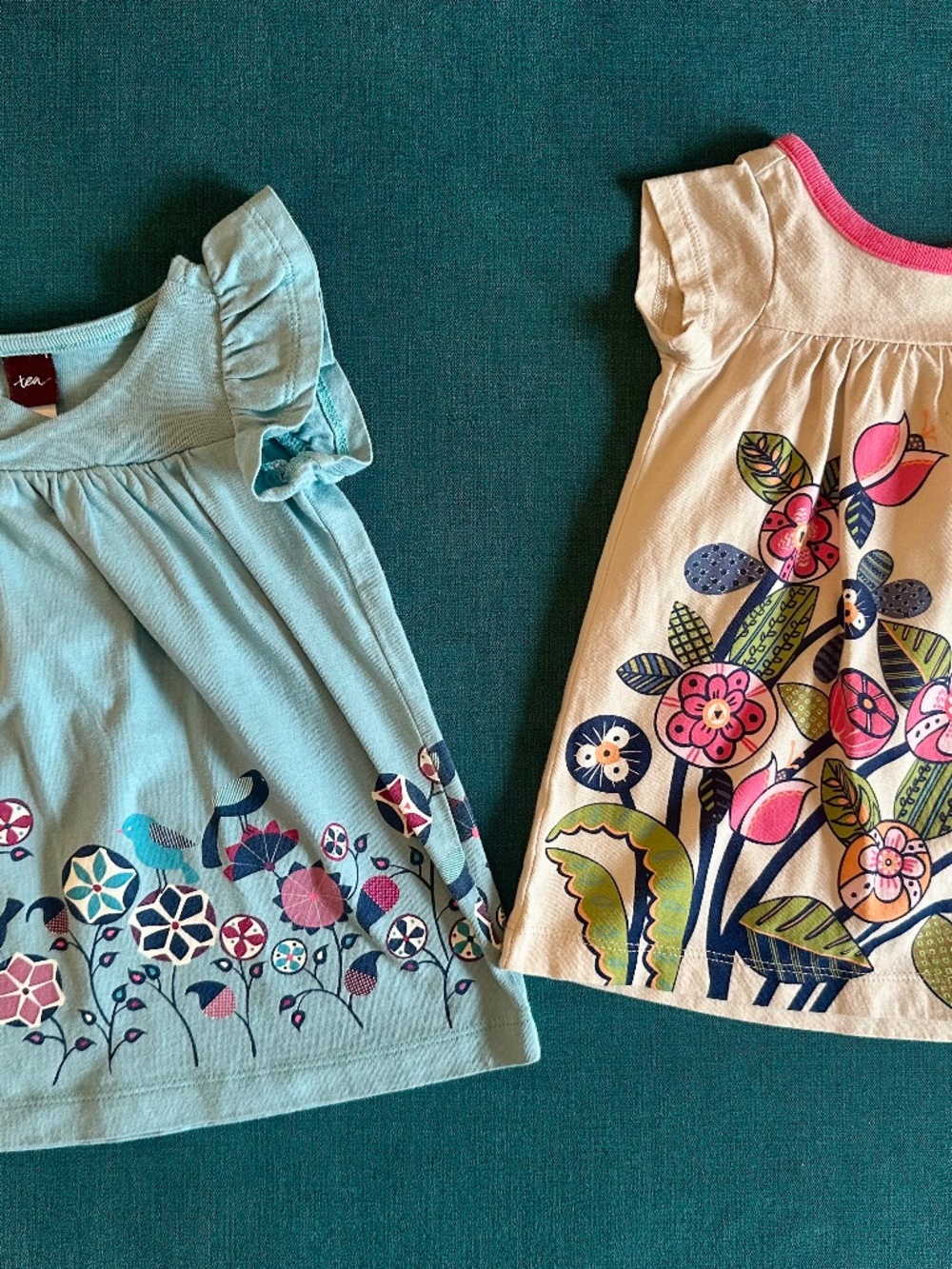 Tea Collection Baby Girl Dress Bundle of Two